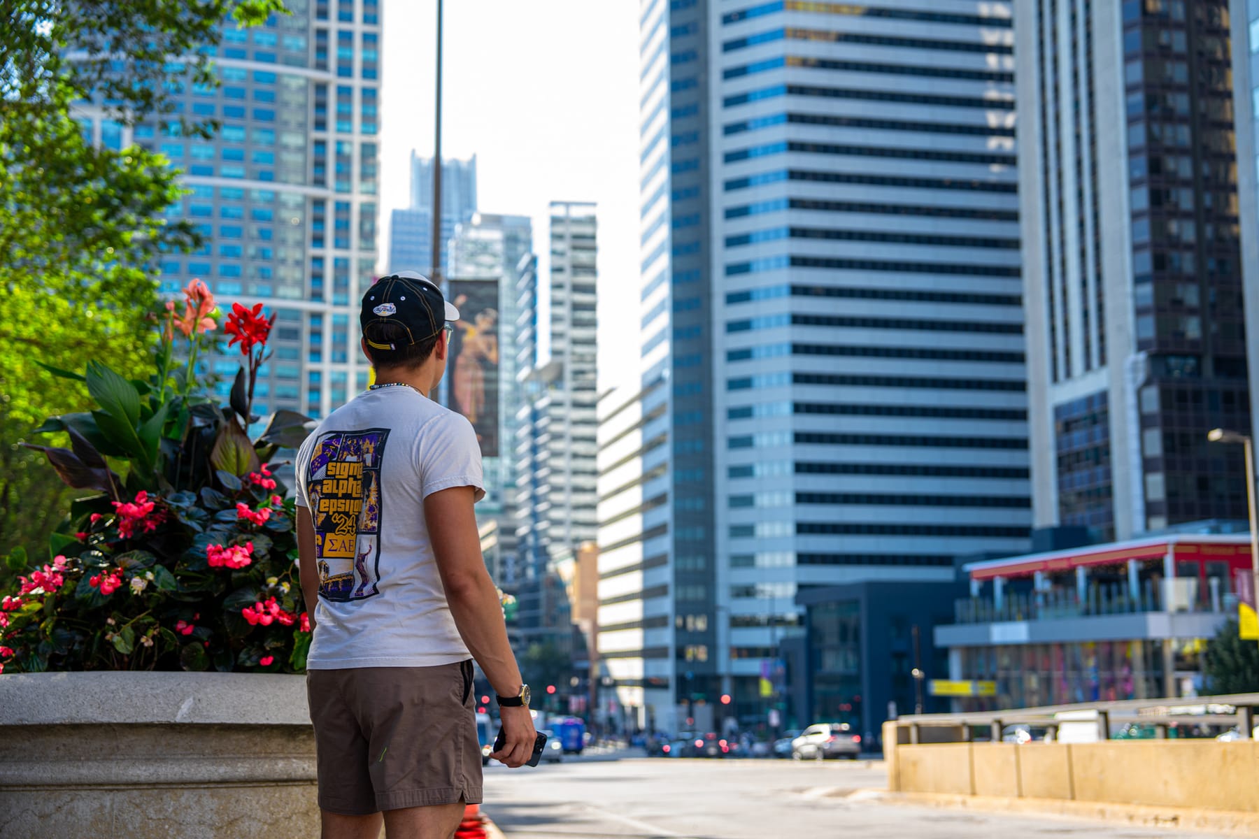 A man in a baseball cap looking down a sunlit Chicago avenue, red flowers blooming in the foreground.