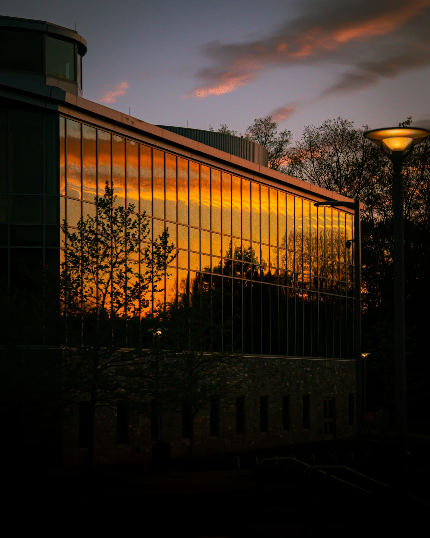 A glass building facade mirroring a burnt-orange sunset, with bare trees and a streetlamp silhouetted in front of it.